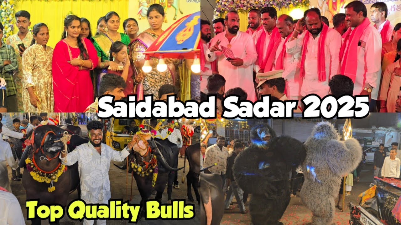 Saidabad Sadar 2025 live | Top Quality murrah bulls | jaffarabadi & singaal buffaloes yadav festival