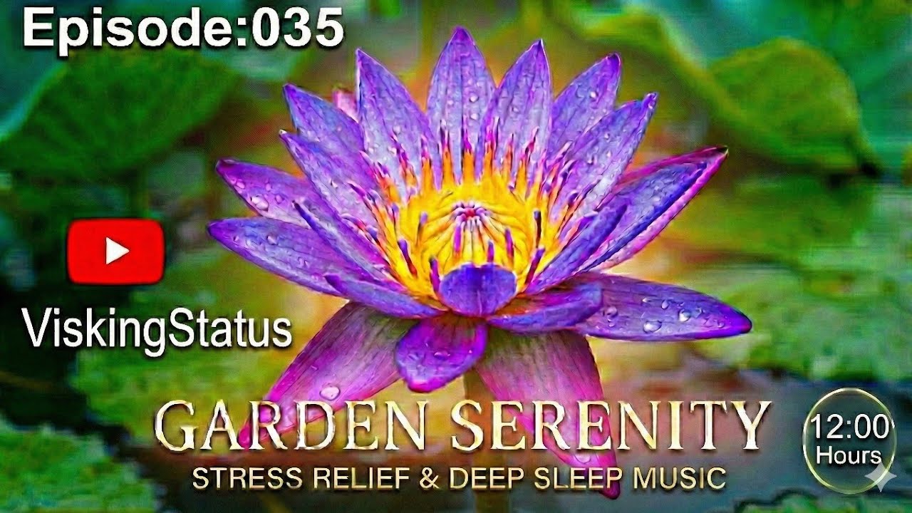  Episode 035 of the Relax series.  nature and music #relaxation #viskingstatus #sleep #music #viral 