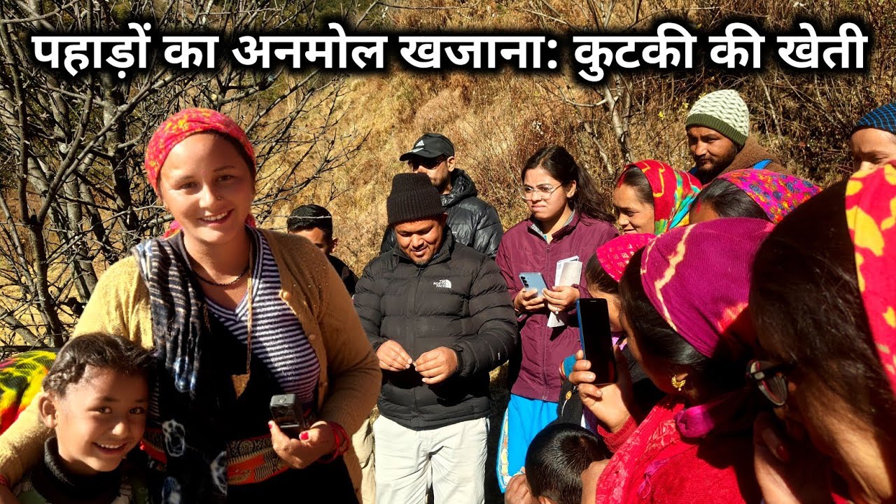 पहाड़ों का अनमोल खजाना: कुटकी की खेती | कम लागत ज़्यादा लाभ: पहाड़ों में कुटकी | कुटकी की खेती 