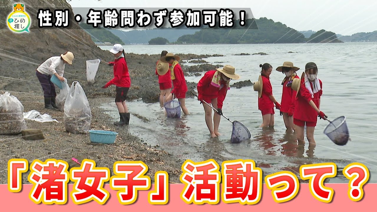 海・魚を守る「渚女子」活動！海岸清掃や魚食普及、水産加工品の開発など様々な取り組みを紹介！