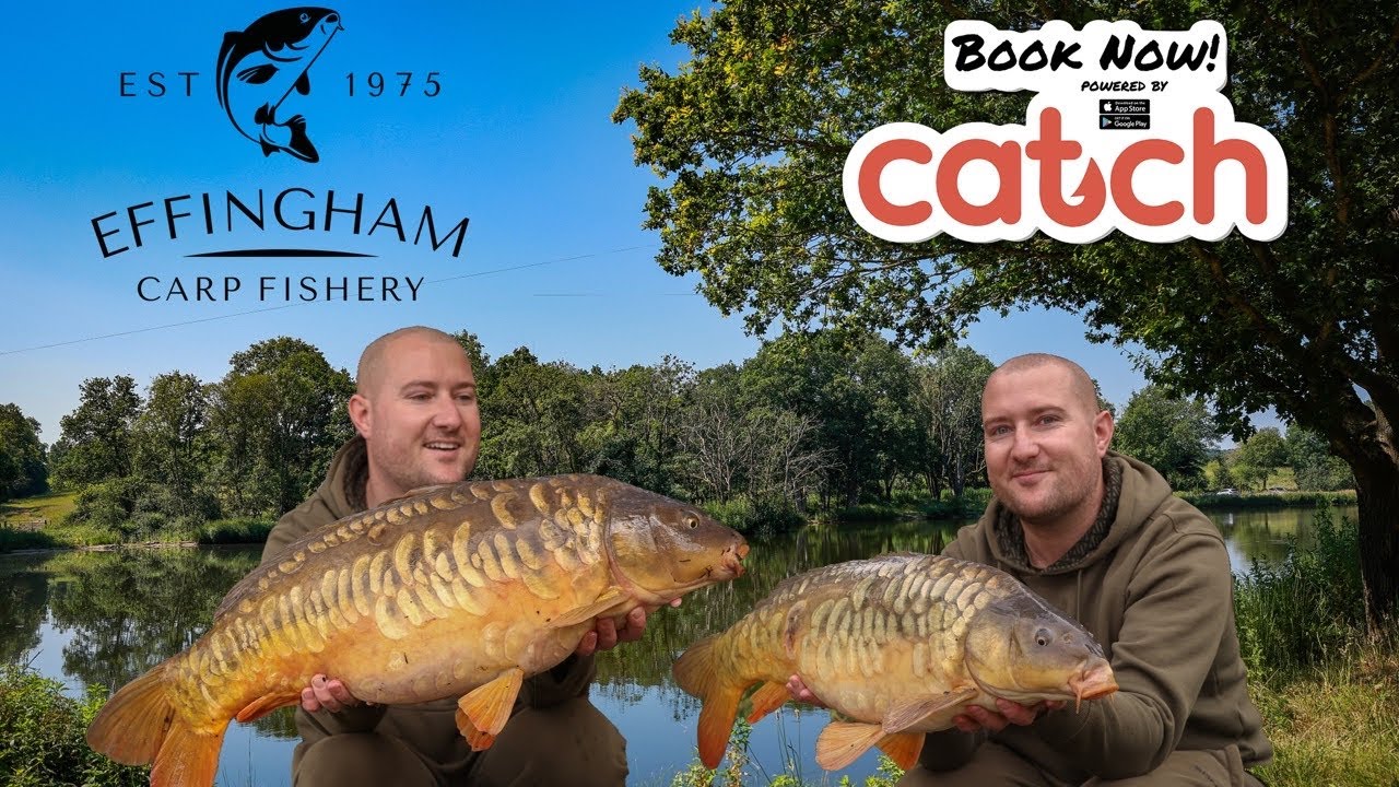 CARP fishing 2024 | Effingham Carp Fishery, Surrey | #carpfishing