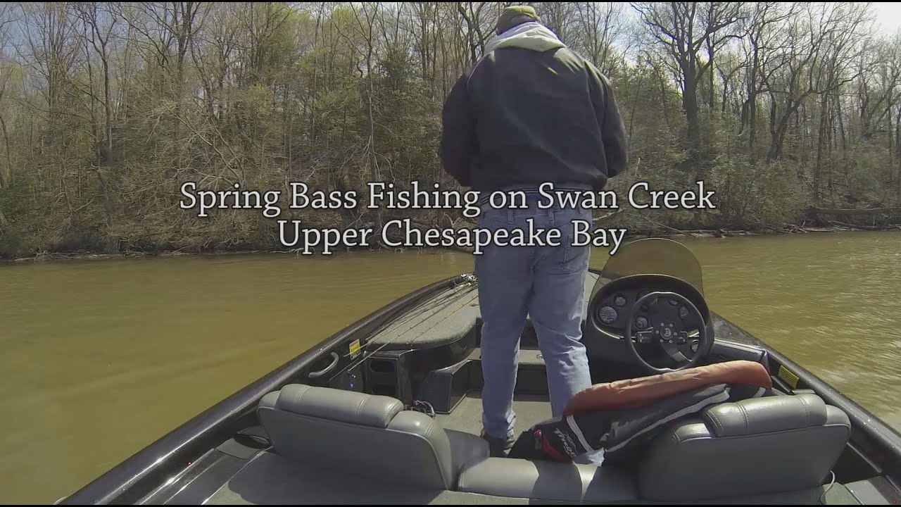 Spring Bass Fishing on Swan Creek