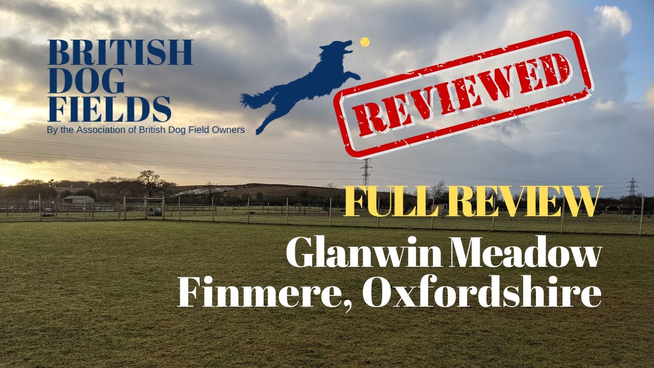 Glanwin Meadow Dog Walking Field, Oxfordshire - Full Review