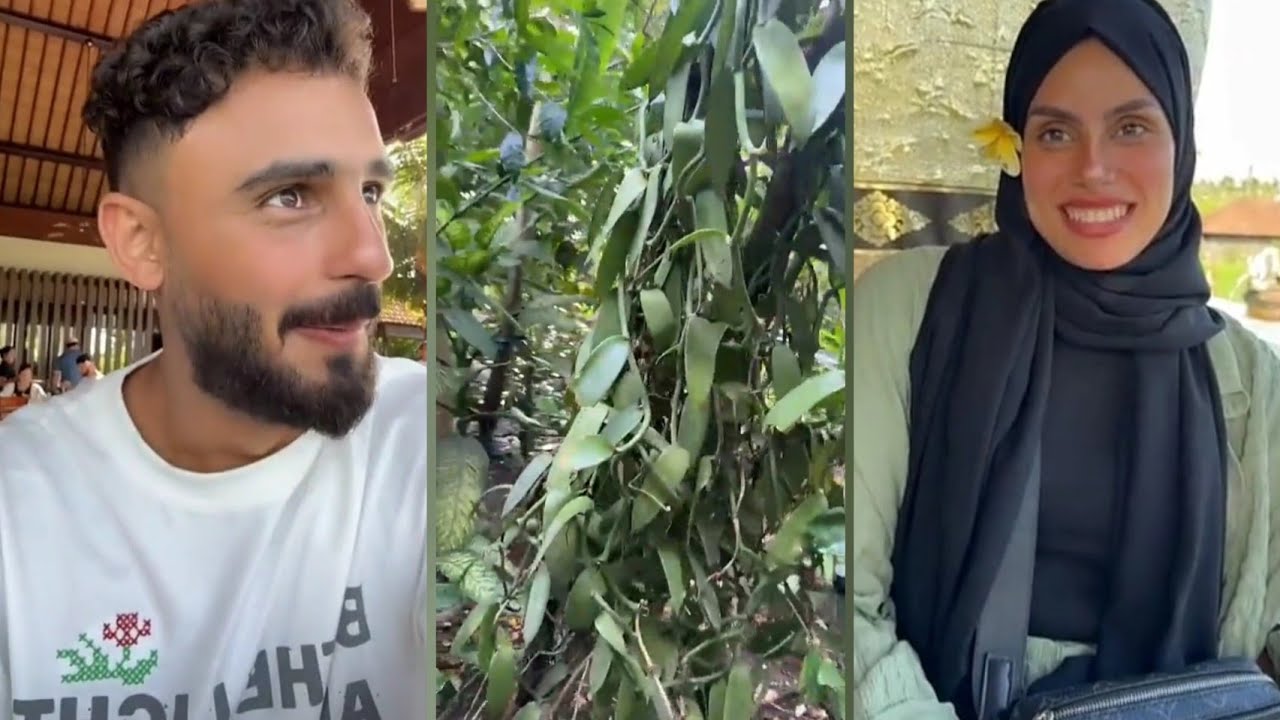 مزرعة القهوة😯 تفاجئت فيه بعد الزواج🤭 هاني حلواني و عنود في بالي