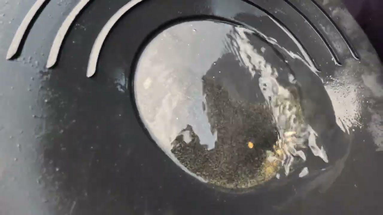 Checking out This Spot on the River For Gold