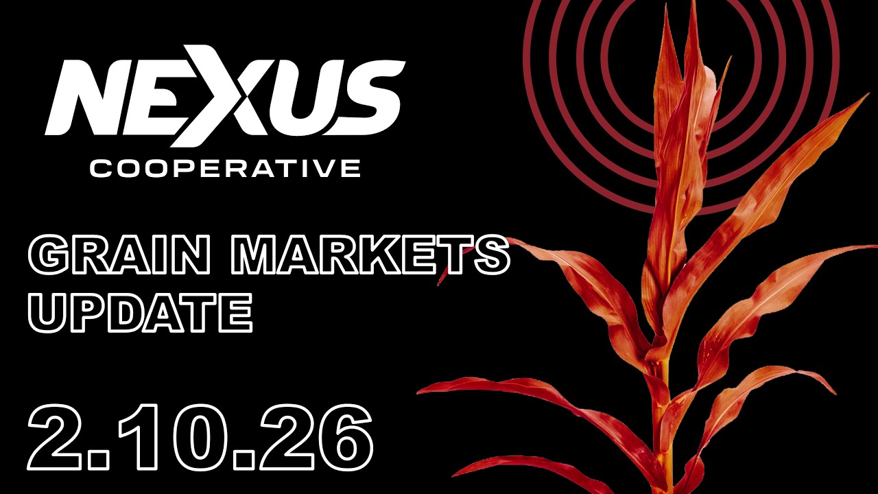Nexus Grain Update - February 10, 2026