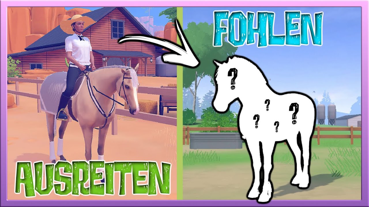 3️⃣ neue FOHLEN 🐴 & wir REITEN AUS 🏇 Equestrian the Game