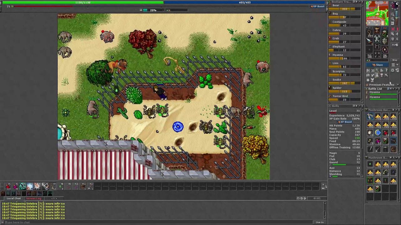 TIBIA DIA/DAY 26 GLOBAL