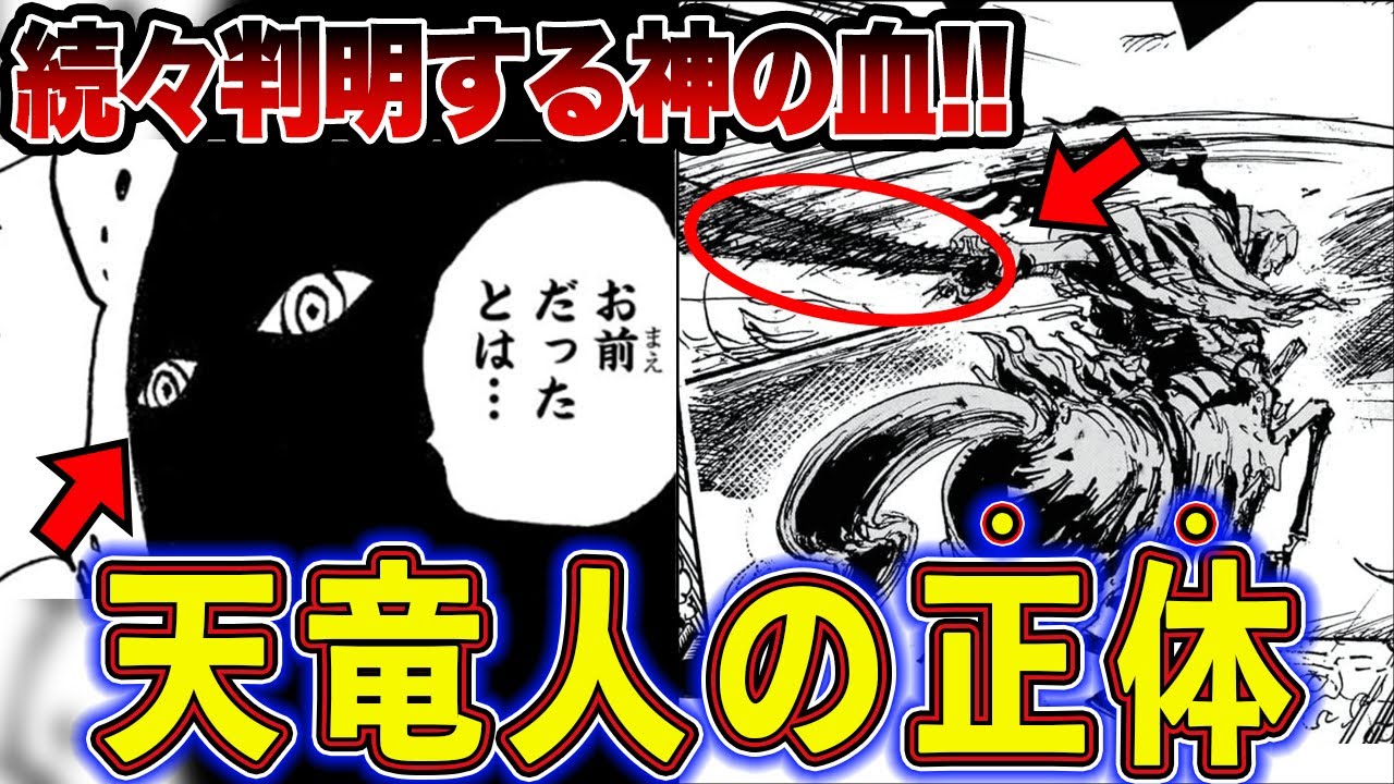 【ワンピース】作者が続々と暴露！天竜人の全家系を徹底解説【ゆっくり解説】