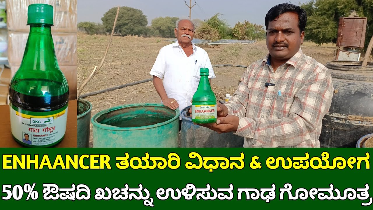 ENHAANCER ತಯಾರಿ ವಿಧಾನ & ಉಪಯೋಗ | 50% ಔಷದಿ ಖಚನ್ನು ಉಳಿಸುವ ಗಾಢ ಗೋಮೂತ್ರ | ghada gomutr | OWDC