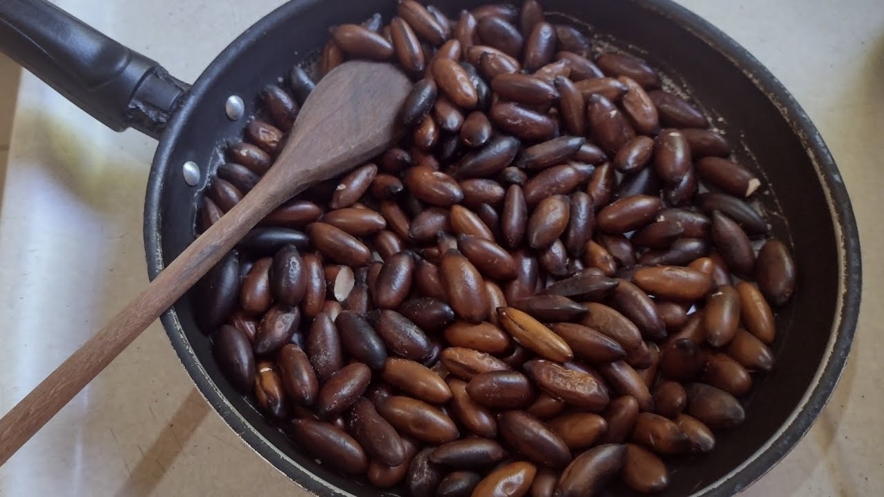 vem aprender a torar.  castanha de baru  fruto do cerrado ..