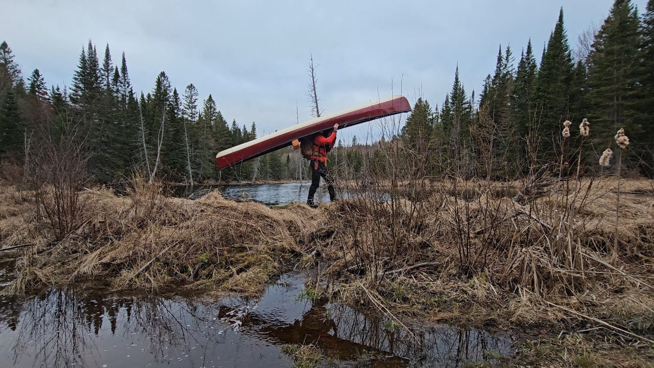 Solo Camping in Algonquin - Ice Out