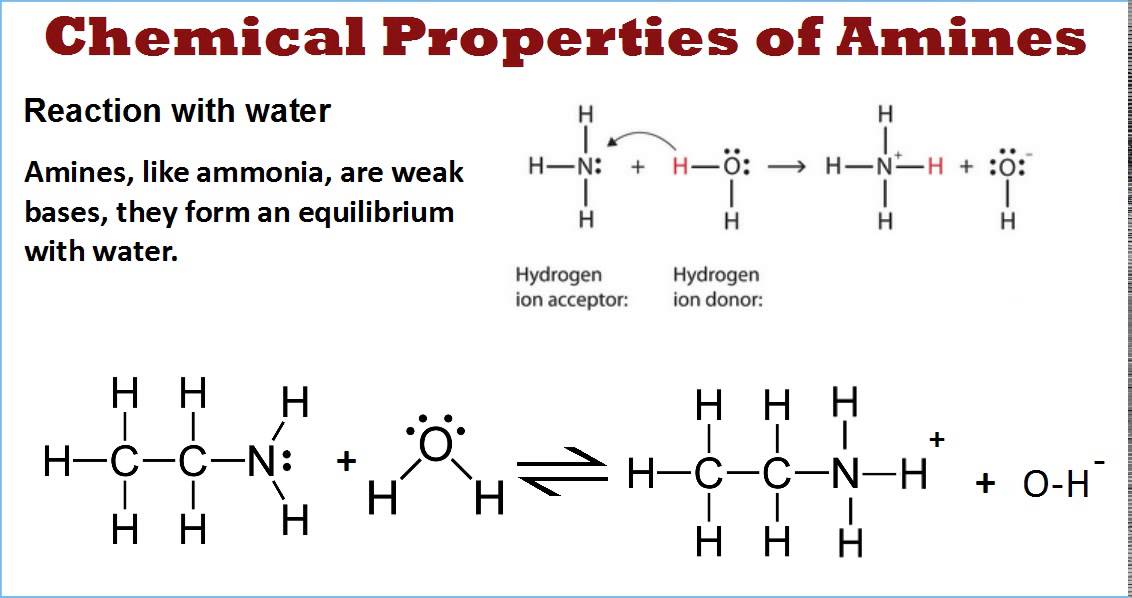 Amines Chemical Properties Part 1