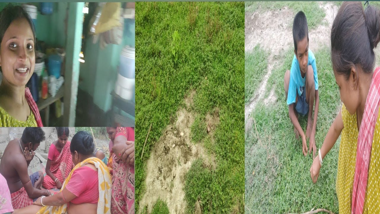 Mamar bari shak tulte gelam/daily village lifestyles vlog❤️