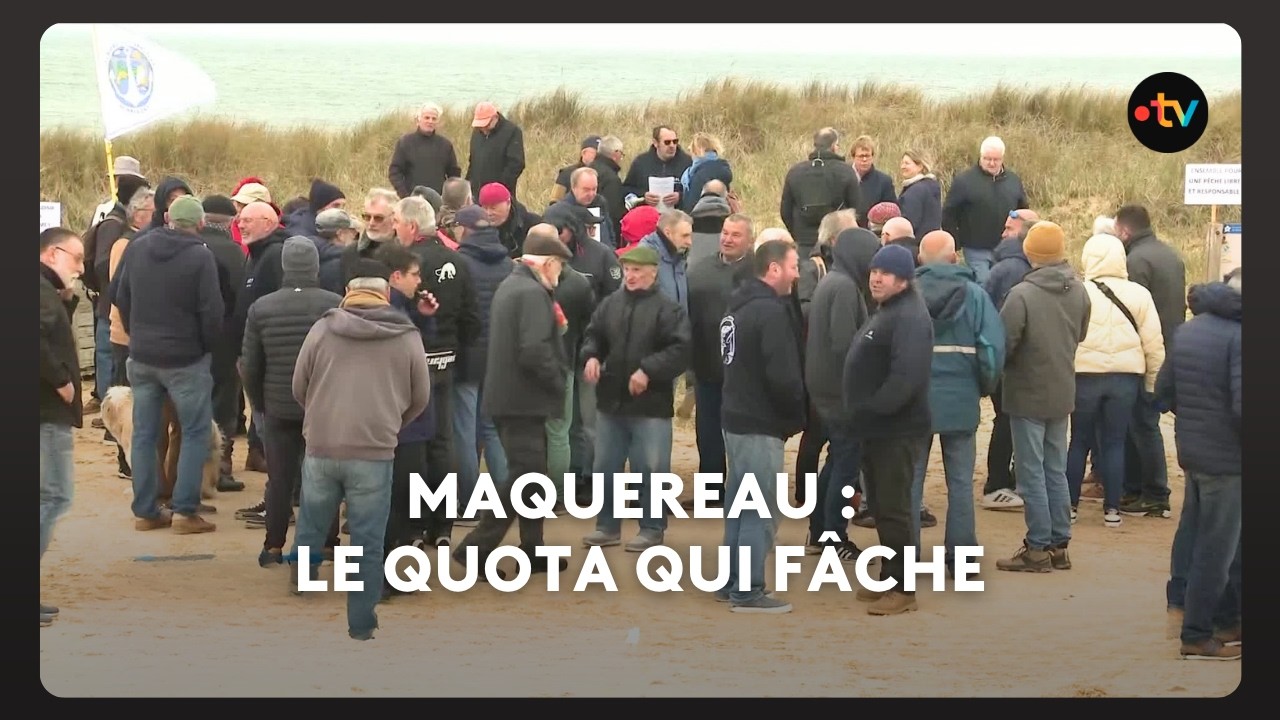 Quota p&ecirc;che aux maquereaux : le ras le bol de ces p&ecirc;cheurs amateurs