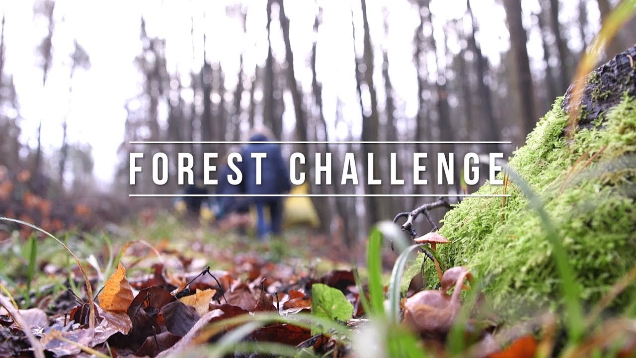 #FORESTCHALLENGE: Czas nadszedł na pokazanie jak wypełniam leśne zadanie.