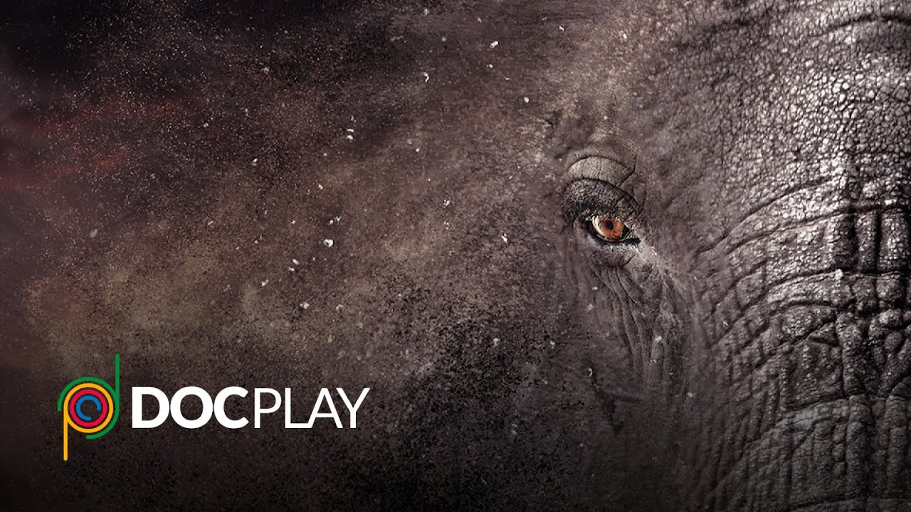 Escape From Extinction | Official Trailer | DocPlay