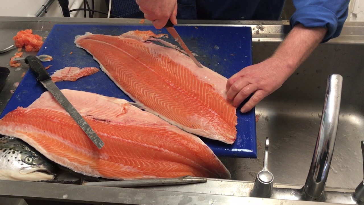 Filleting a Salmon