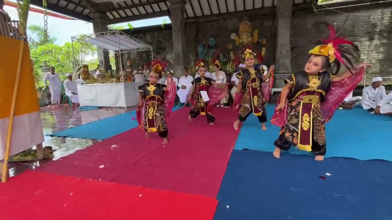 PITIK WALEK ( PURE  BLITAR )