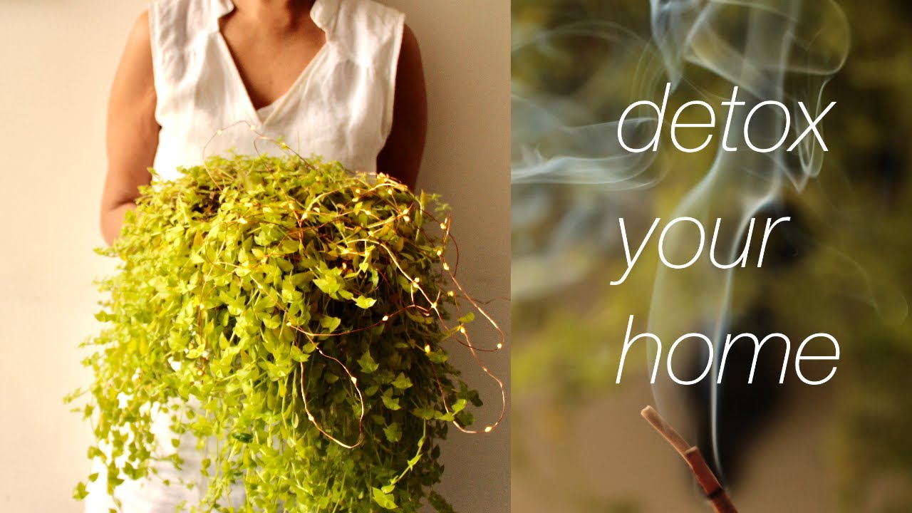 things that bring POSITIVE energy in HOME | 16 easy tips