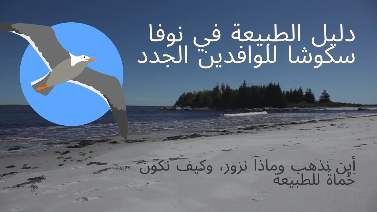دليل الوافدين الجدد للطبيعة في نوفا سكوشا