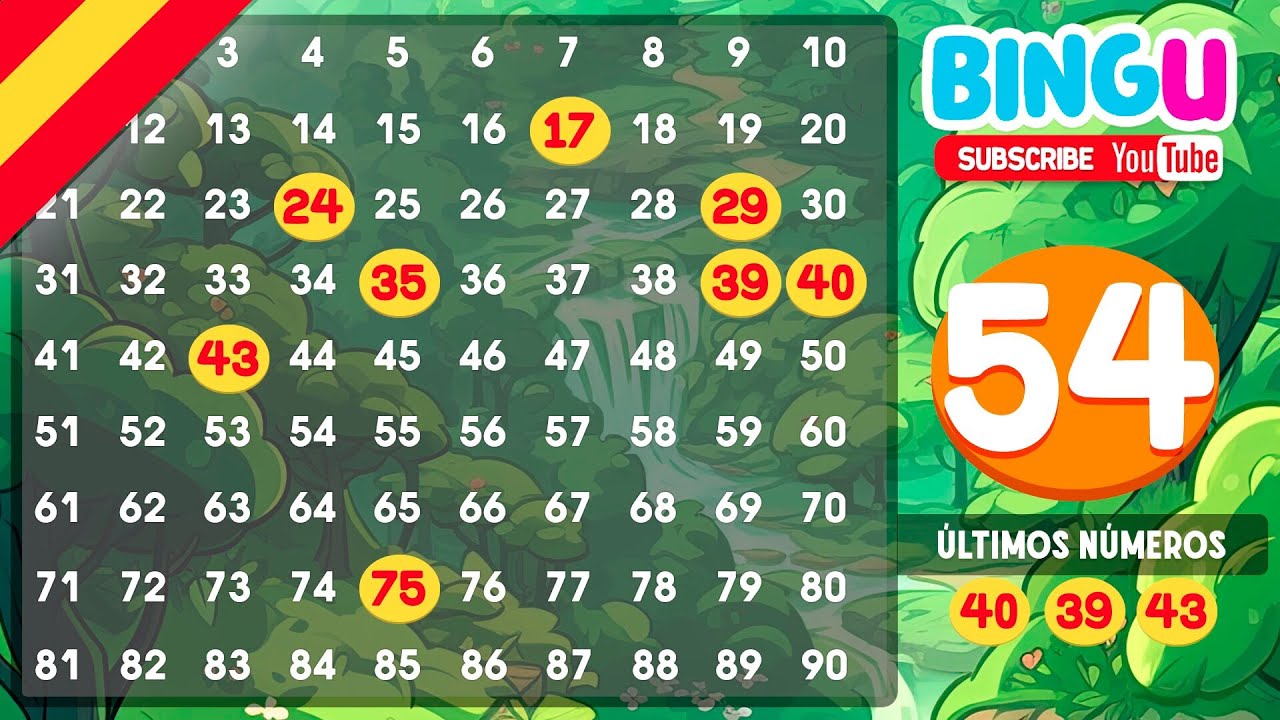 Tu Nuevo Pasatiempo: Bingo en Casa con Amigos 🏠👏