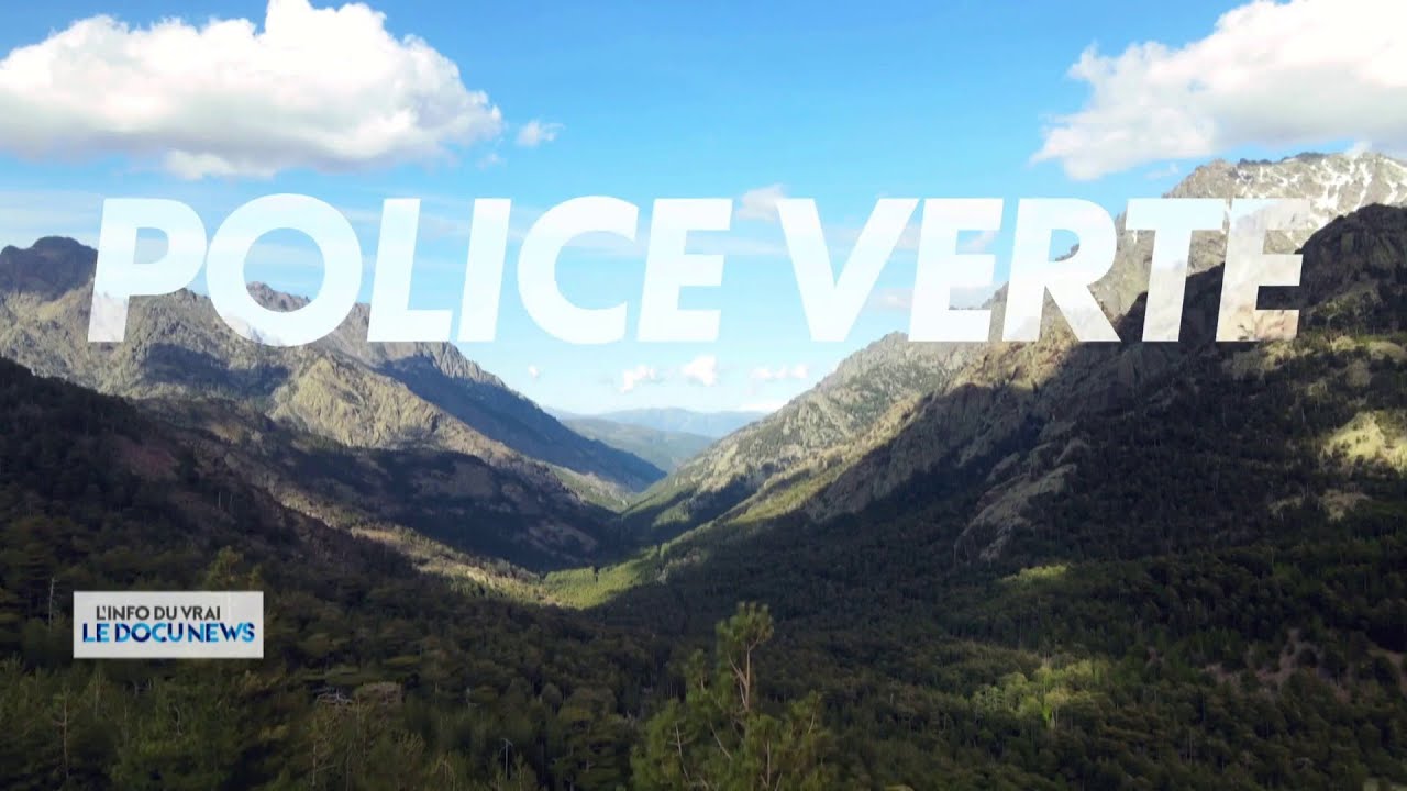 DOCUNEWS : 