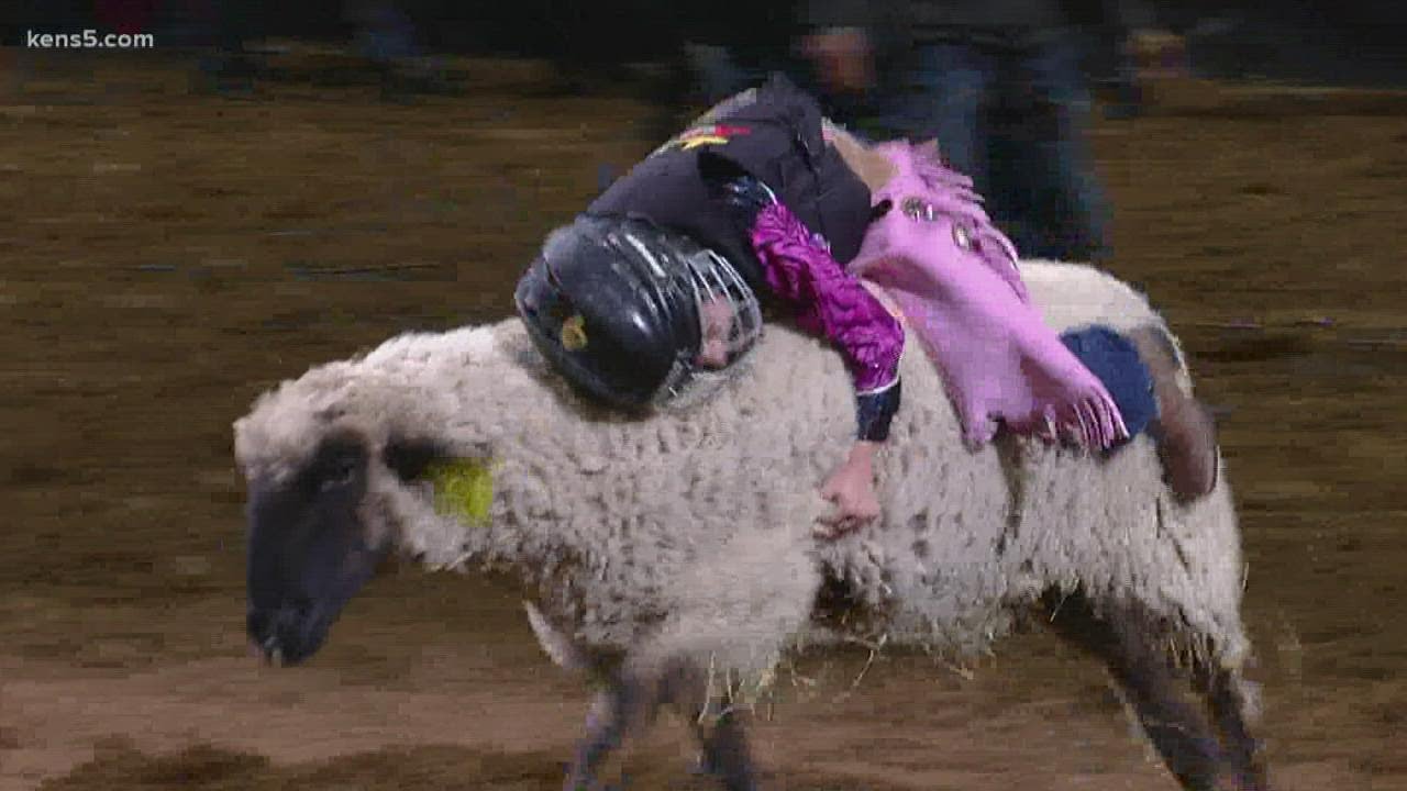 Crowds stand for 6-year-old mutton bustin champion