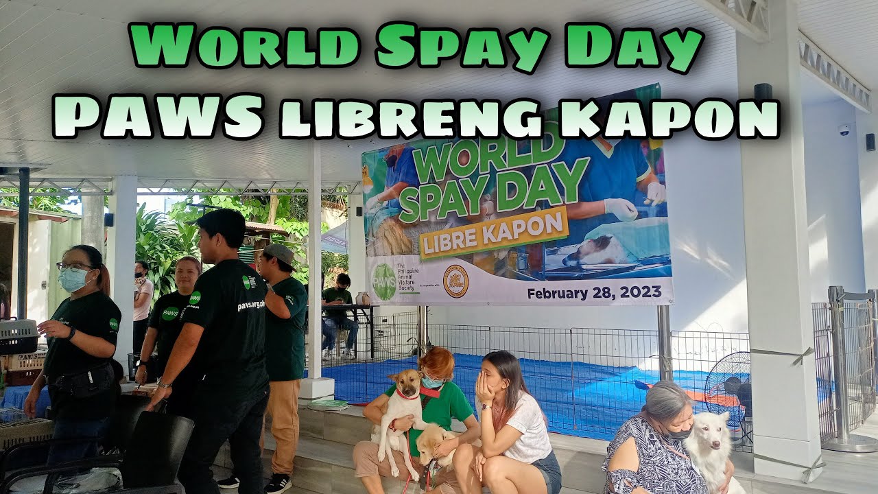 PAWS LIBRENG KAPON WORLD SPAY DAY | Team Kyan Vlog