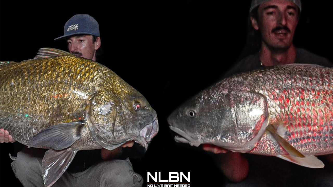 PB REDFISH на Arti ][ Megas Caught