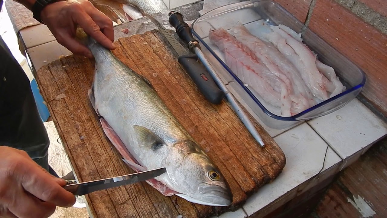 Mira la forma de filetear y cortar pescado (pescadilla, pez palo, anchoa de banco y corvina)