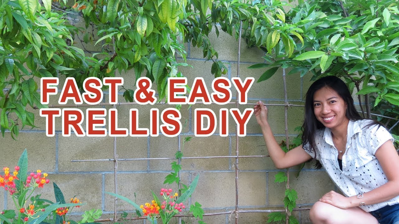 Easy fast Trellis DIY (No Skills Required)