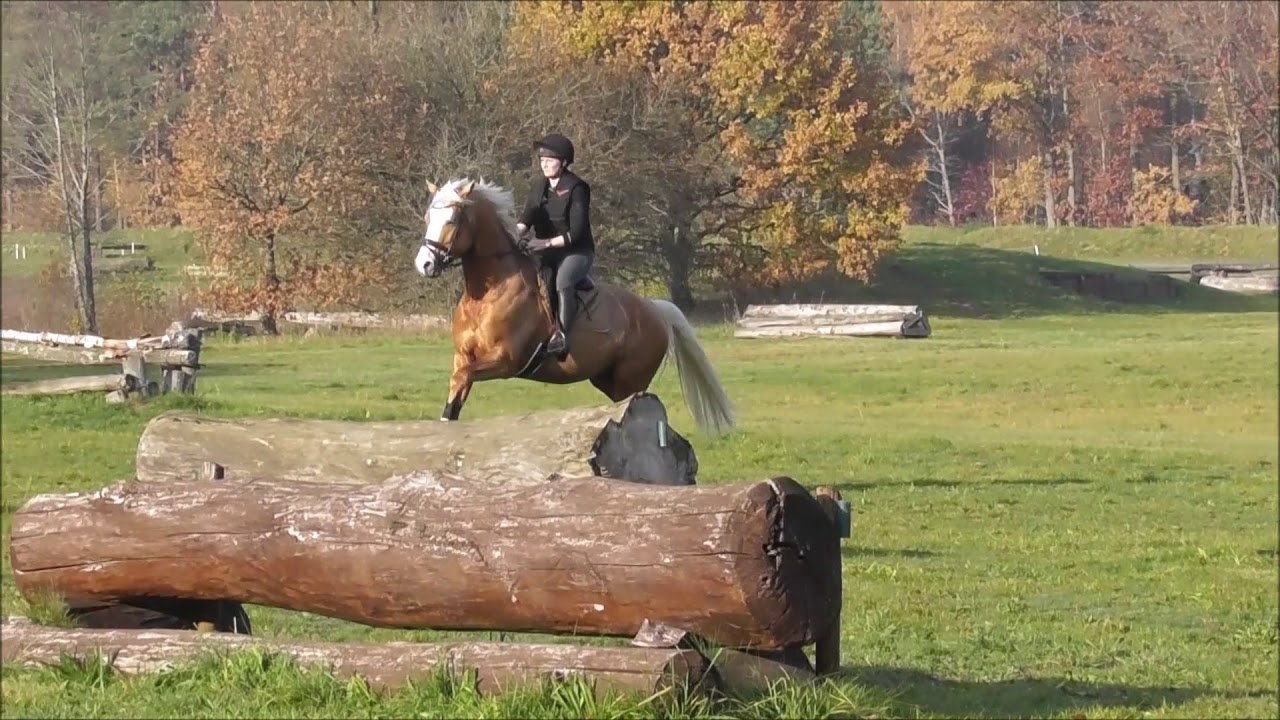 Zafferano terrängträning november2018