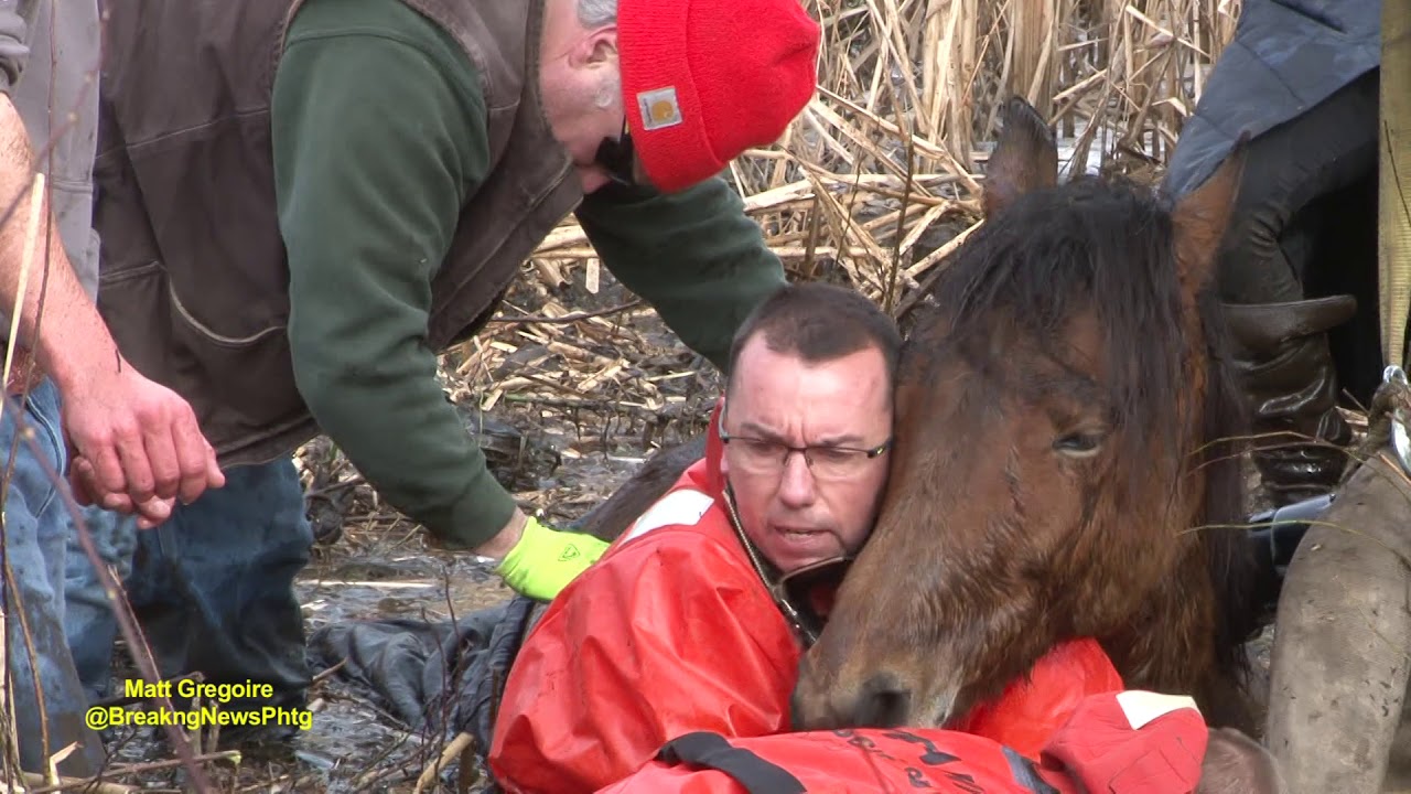 Dramatic horse rescue in North Smithfield, RI