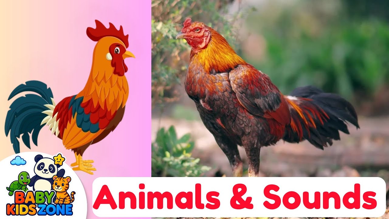 Animal Sounds Song: Learn 40 Animal Names and Sounds for Kids & Toddlers