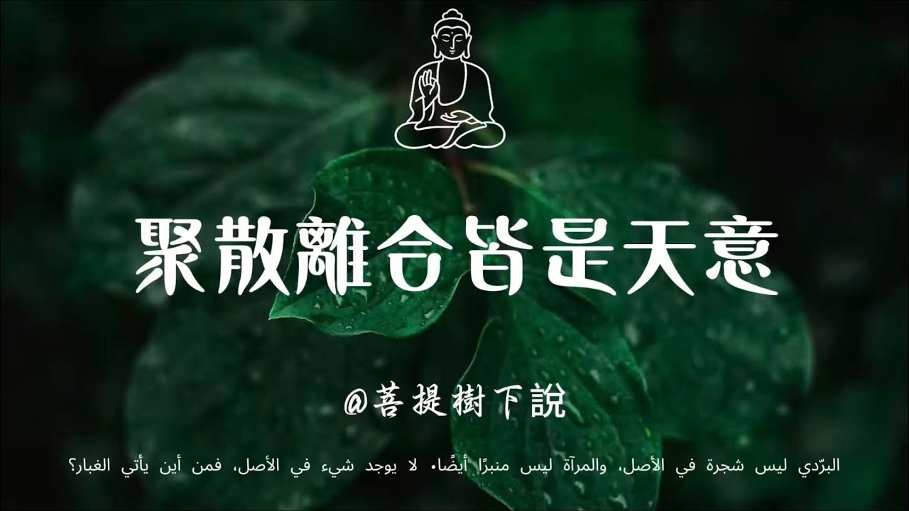 【建議收藏】万物有成必有毁，人事有兴必有衰:悟透無常，方得人生不執不戀的般若自在#禪宗智慧#金剛經#六祖壇經#修行#心理療愈#佛學人生#識心見性#活在當下#生命意義#國學文化#佛學故事