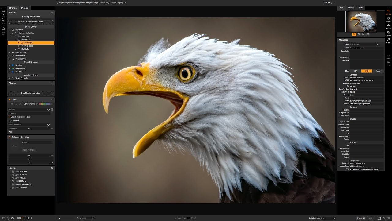 Mastering On1 Photo RAW 2018 - Episode 4: Metadata & Filters