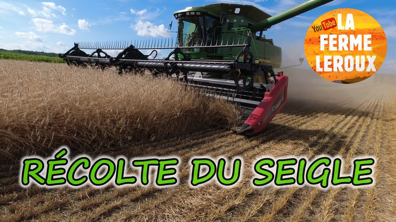 Récolte du seigle avec JD 9650 STS