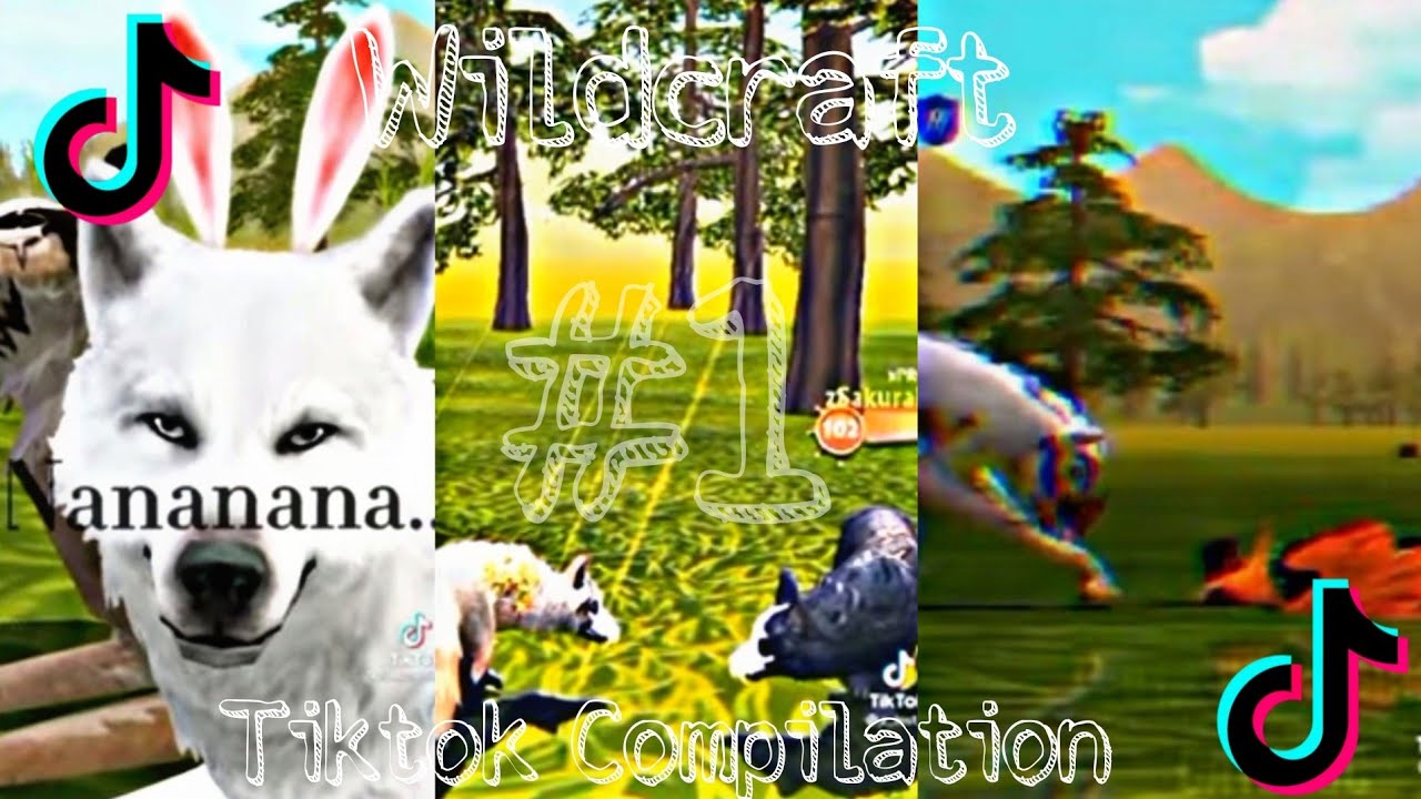Wildcraft tiktok compilation #1