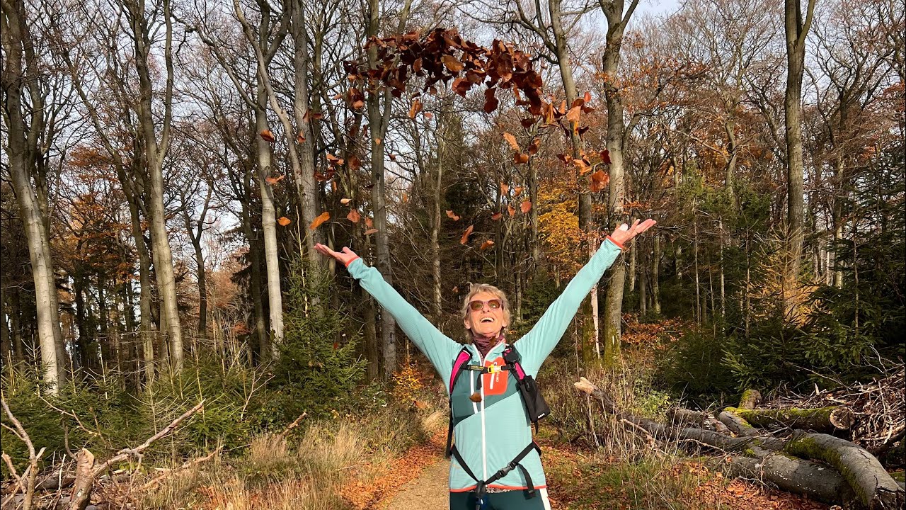 Indian Summer auf dem Herzberg