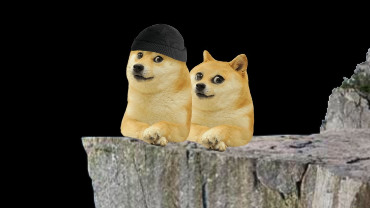 Doge goes back to the edge of the universe