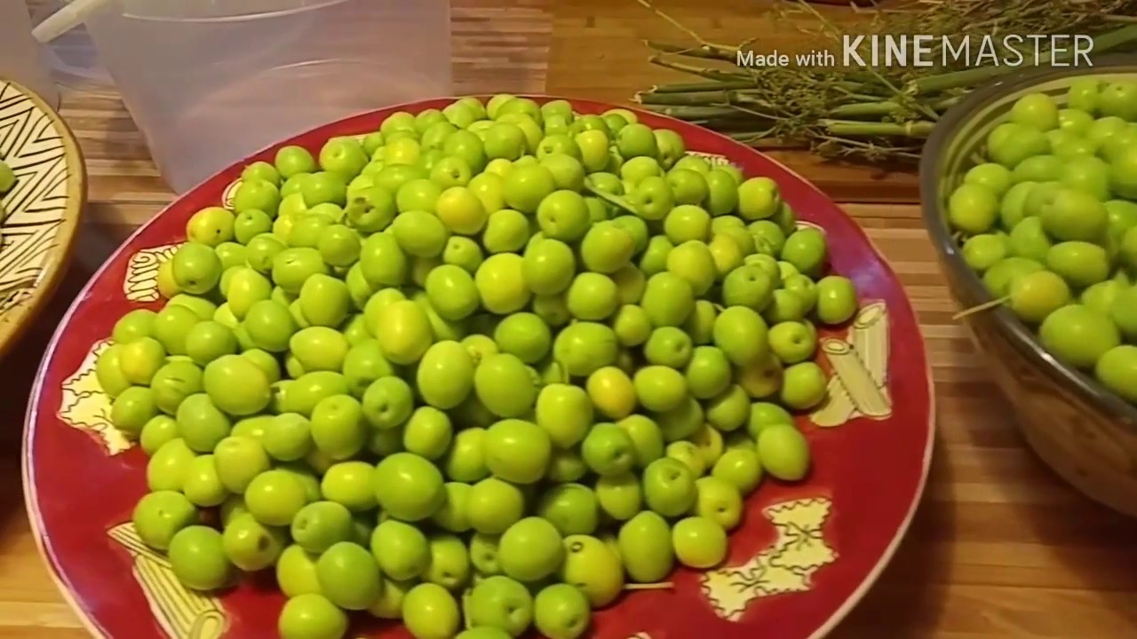 PROGRAMA 45: ACEITUNAS ALIÑADAS/DRESSED OLIVES