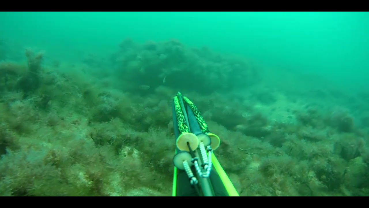 Подводная охота на черном море тонкий мыс