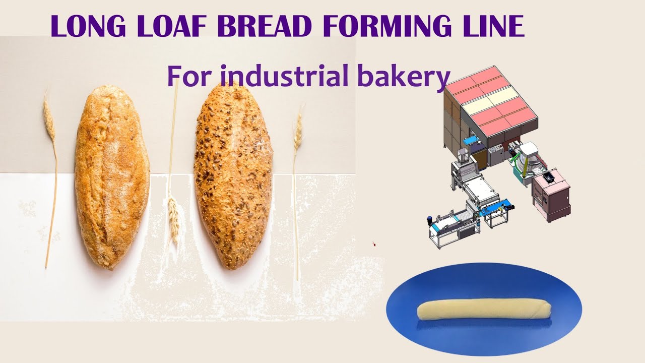 Loaf bread shaping line QINLI Machinery