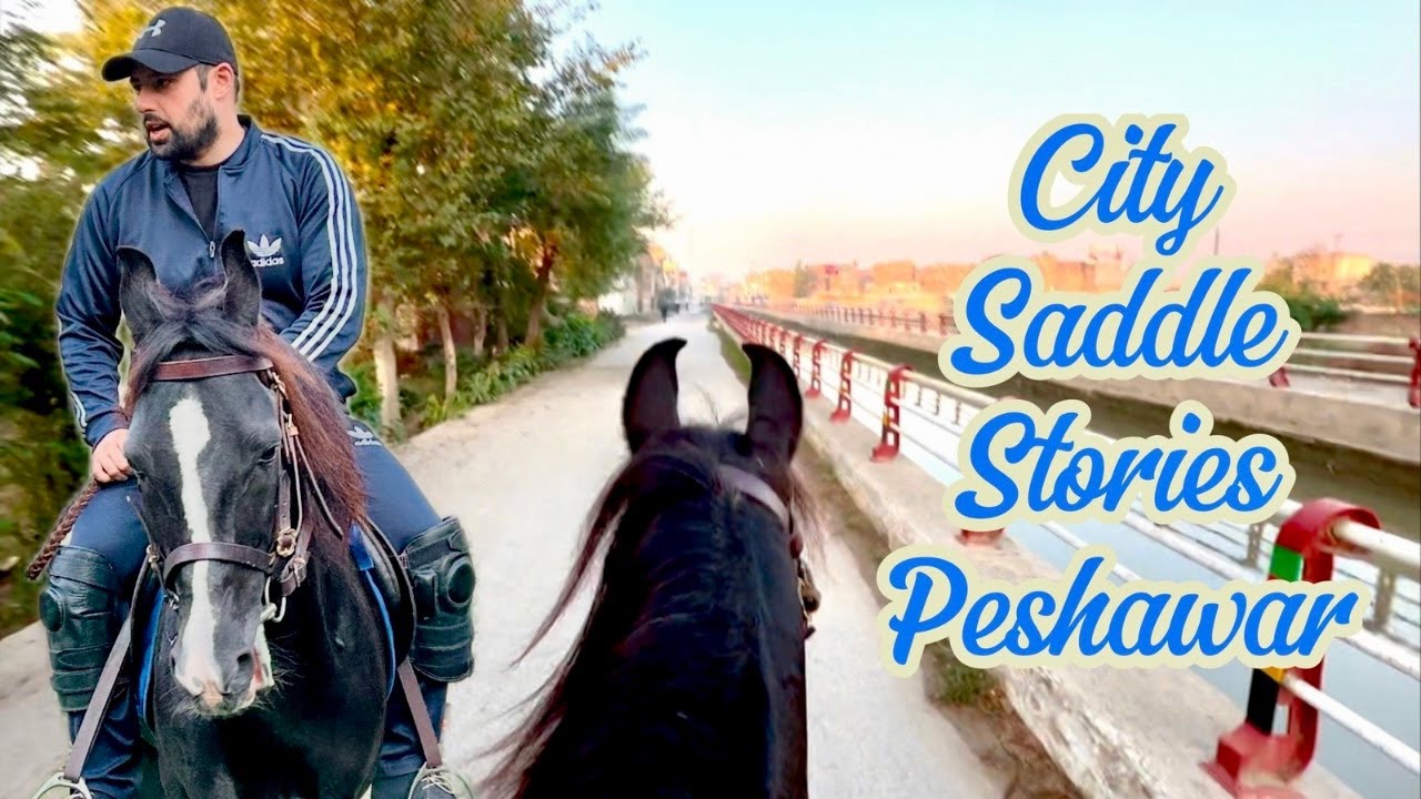 Saddle Stories On A Horse Back In Peshawar | Horse Riding In Peshawar City | Horse Riding