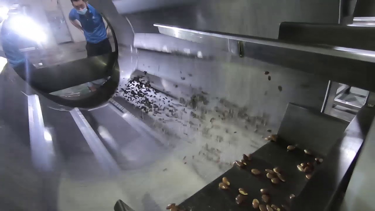 Oil spray and seasoning system for the roasted Almond