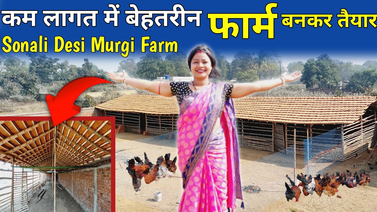 कम लागत में बेहतरीन फार्म🏕️Desi Poultry Bamboo Shed | बाँस का नया फार्म बनकर तैयार