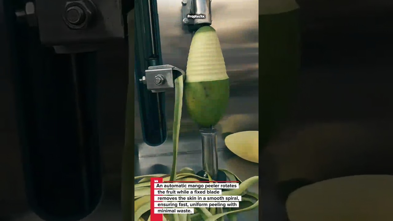 Automatic Mango Peeler in Action! #FoodTech #Automation #Engineering