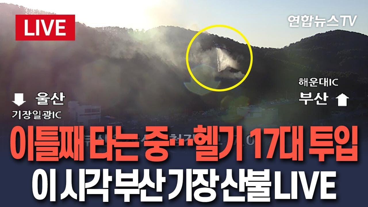 [🔴생중계] 