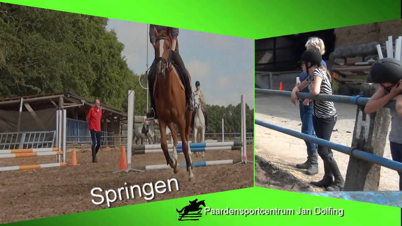 Ponykamp Dolfing Vries